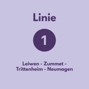 Busshuttle Linie 1